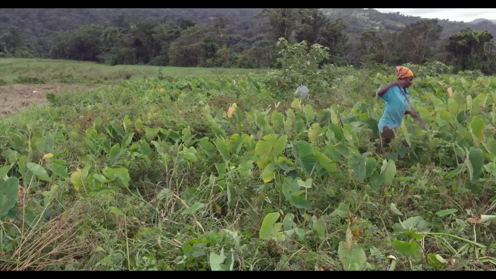 125 Hectares